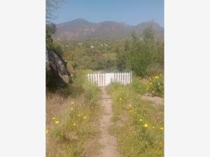 Terreno en venta en Ejido Ruiz Cortines, Ensenada — foto 3 de 3