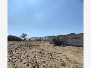 Terreno en venta en San Diego Icatepec 1a. Sección, Amozoc — foto 2 de 6