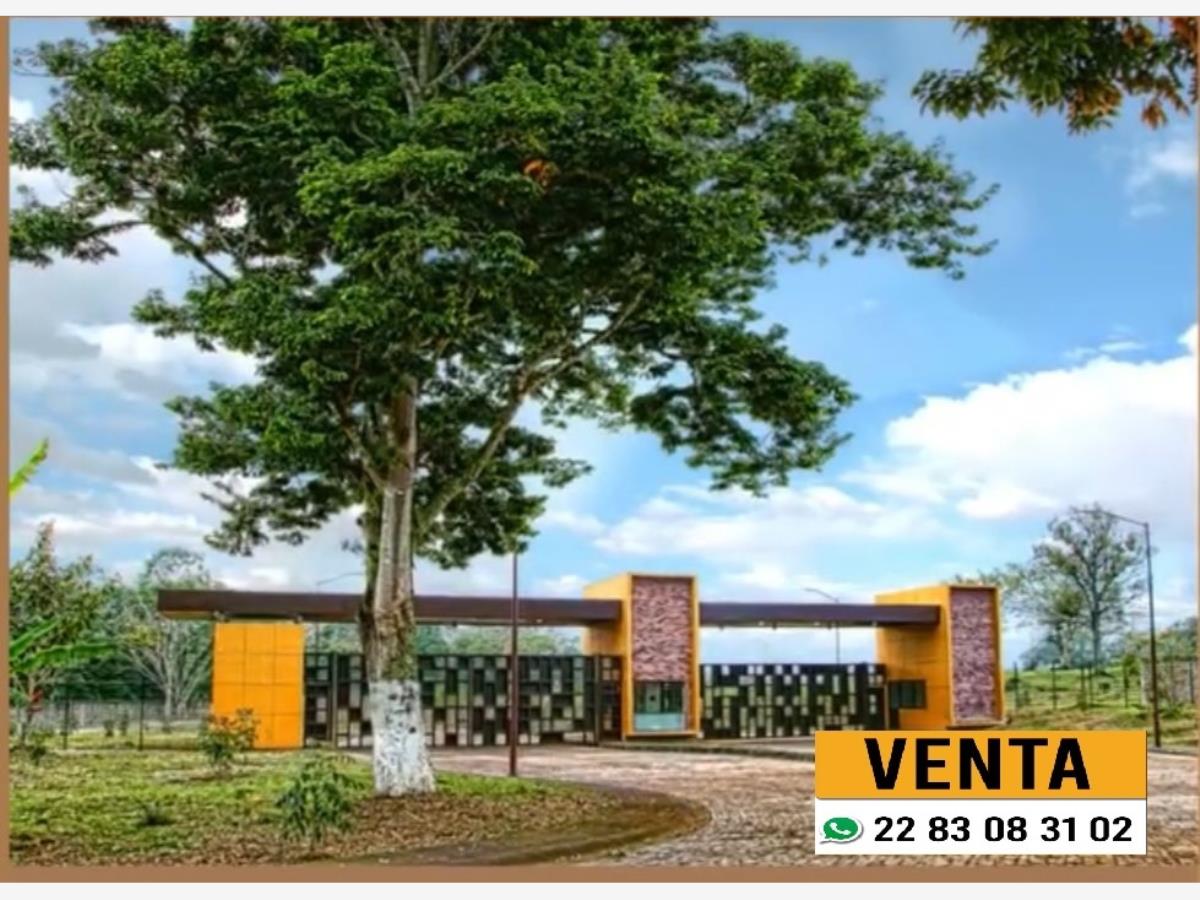 Terreno en venta en El Grande, Coatepec — foto 1 de 2