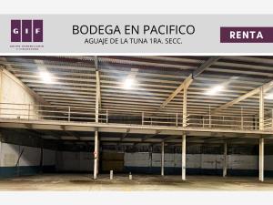 Bodega en renta en Aguaje de la Tuna 1ra. Sección, Tijuana — foto 3 de 4
