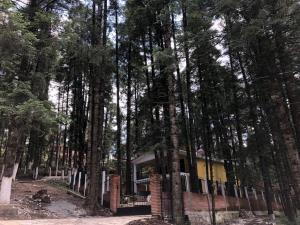 Terreno en venta en Mineral del Monte Centro, Mineral del Monte — foto 3 de 11