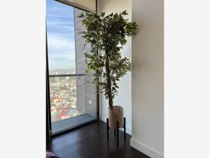 Departamento en venta en Madero Sur, Tijuana — foto 2 de 8