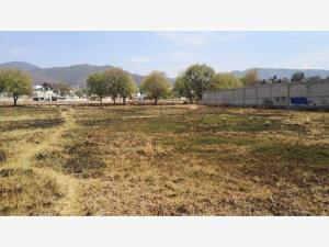 Terreno en venta en Santa Maria Atarasquillo, Lerma — foto 3 de 16