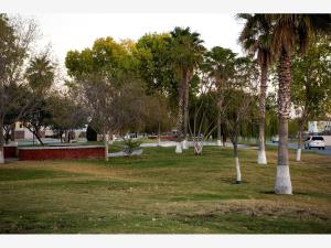 Terreno en venta en Las Trojes, Torreón — foto 3 de 11