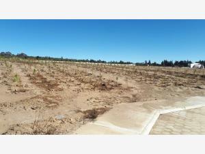 Terreno en venta en Alta Luz, Cuapiaxtla — foto 3 de 8