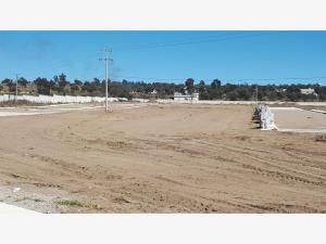Terreno en venta en Alta Luz, Cuapiaxtla — foto 2 de 8