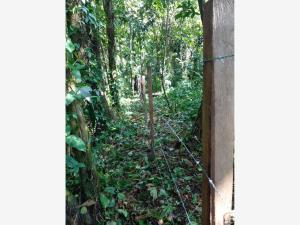 Terreno en venta en Palenque, Palenque — foto 3 de 11