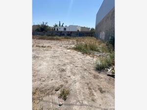 Terreno en renta en Las Arboledas, Torreón — foto 2 de 4