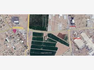 Terreno en venta en Jabonoso, Gómez Palacio — foto 3 de 5