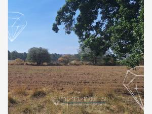 Terreno en venta en Entronque Nanacamilpa, Nanacamilpa de Mariano Arista, Tlaxcala