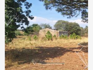 Terreno en venta en Entronque Nanacamilpa, Nanacamilpa de Mariano Arista — foto 3 de 5
