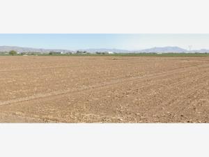 Terreno en venta en Benavides (morelos Uno), Matamoros — foto 3 de 10