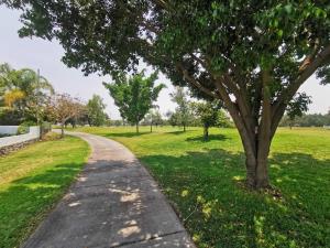 Terreno en venta en Paraíso Country Club, Emiliano Zapata — foto 3 de 10