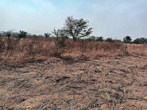 Terreno en venta en Playa Fina, Arriaga — foto 3 de 3