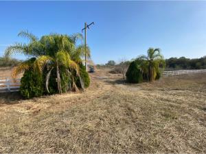 Terreno en venta en El Pastor, Montemorelos — foto 2 de 9