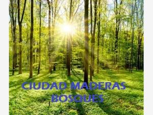 Terreno en venta en Fracción San Luis, Corregidora — foto 2 de 6