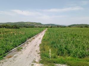 Finca-Rancho en venta en Moyotepec, Ayala — foto 2 de 28
