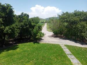 Finca-Rancho en venta en Moyotepec, Ayala — foto 3 de 28