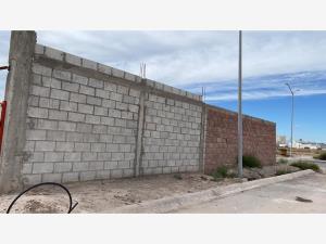 Terreno en venta en Ampliación Senderos, Torreón — foto 2 de 4