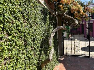 Casa en venta en Jardines del Castillo, Xalapa — foto 2 de 22