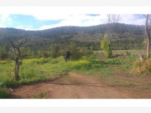 Terreno en venta en Jame, Arteaga — foto 2 de 10