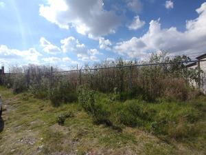 Terreno en venta en San Bernardino Tlaxcalancingo, San Andrés Cholula — foto 3 de 5