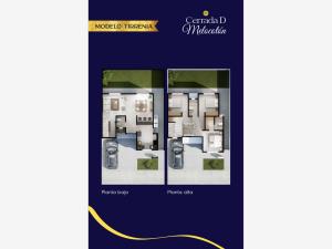 Casa en venta en Los Olivos, Gómez Palacio — foto 2 de 16