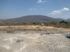 Terreno en venta en Las Estacas, Tlaltizapán de Zapata — foto 2 de 2