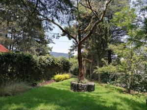 Casa en venta en San Bartolo Ameyalco, Álvaro Obregón — foto 3 de 11