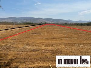 Terreno en venta en San Isidro Monjas, Santa Cruz Xoxocotlán — foto 3 de 14