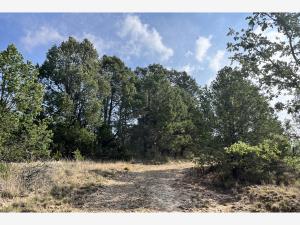 Terreno en venta en El Tunal, Arteaga — foto 3 de 12