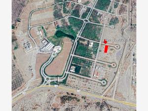 Terreno en venta en Parras de la Fuente Centro, Parras — foto 3 de 17