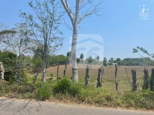 Terreno en venta en La Cruz del Bajío, Centro — foto 3 de 5