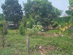 Terreno en venta en Saloya 2da. Sección, Nacajuca — foto 2 de 5