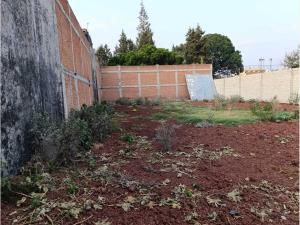 Terreno en renta en Jesús Tlatempa, San Pedro Cholula — foto 2 de 5