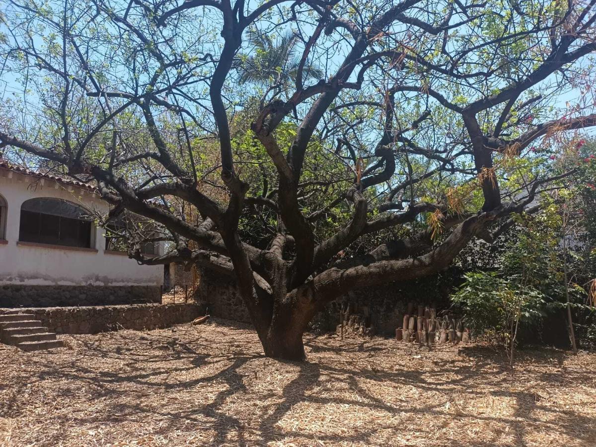 Terreno en venta en La Pradera, Cuernavaca — foto 1 de 22