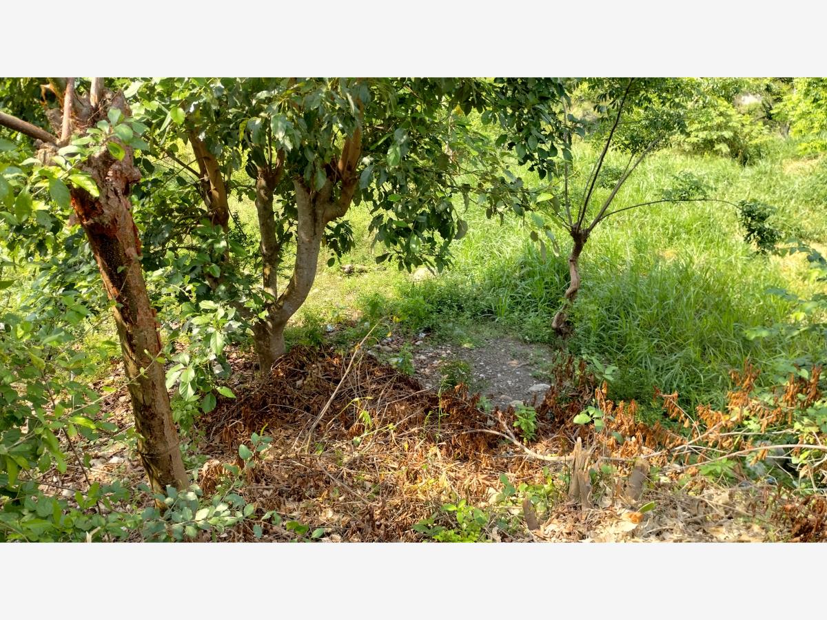 Terreno en venta en Adolfo Lopez Mateos, Papantla — foto 1 de 9