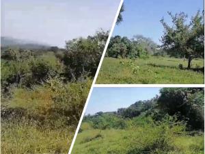 Terreno en venta en Emiliano Zapata (la Bomba), Tihuatlán — foto 2 de 3