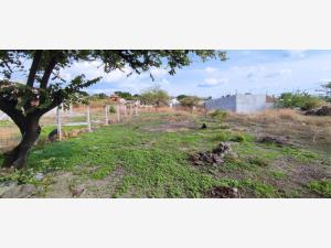 Terreno en venta en Acapatzingo, Cuernavaca, Morelos Terreno en venta en Acapatzingo, Cuernavaca, Morelos
