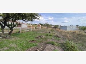 Terreno en venta en Acapatzingo, Cuernavaca — foto 2 de 6