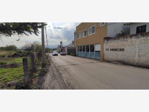 Terreno en venta en Acapatzingo, Cuernavaca — foto 3 de 6