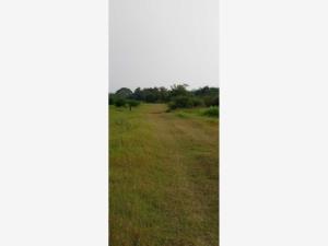 Terreno en venta en El Coyol, Tuxpan — foto 3 de 34