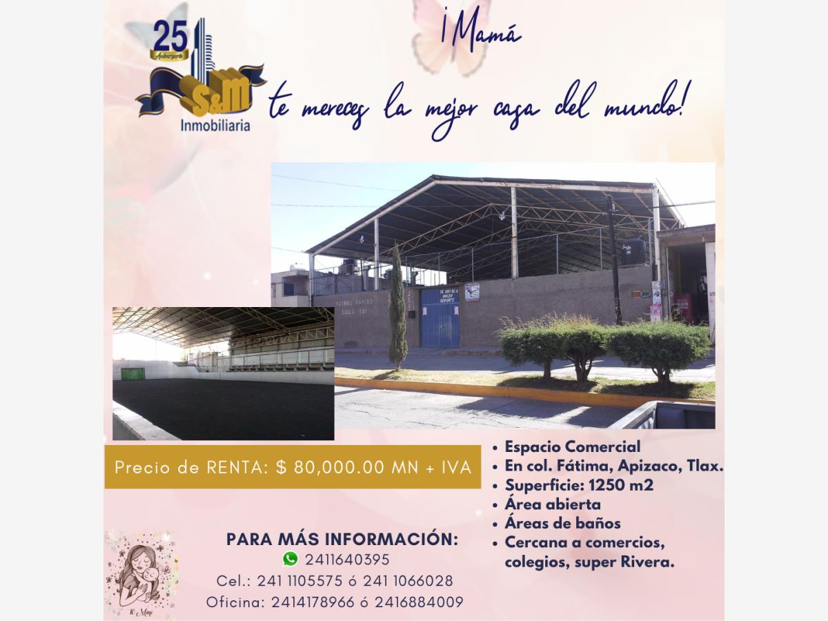 Bodega en renta en Fatima, Apizaco — foto 1 de 10