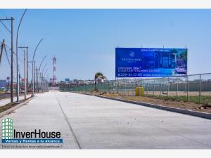 Terreno en venta en Las Lomas Residencial, Alvarado — foto 2 de 8