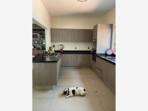 Casa en venta en Vista Hermosa, Cuernavaca — foto 2 de 20