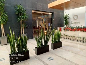 Terreno en venta en Residencial Lagos, Pachuca de Soto — foto 2 de 8
