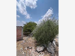 Terreno en venta en Palmillas, San Juan del Río — foto 3 de 4