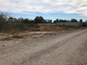 Terreno en venta en Ejido San Miguel, Matamoros — foto 2 de 6