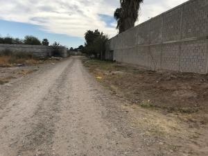 Terreno en venta en Ejido San Miguel, Matamoros — foto 3 de 6