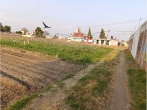 Terreno en venta en Santa Maria Xixitla, San Pedro Cholula — foto 3 de 9
